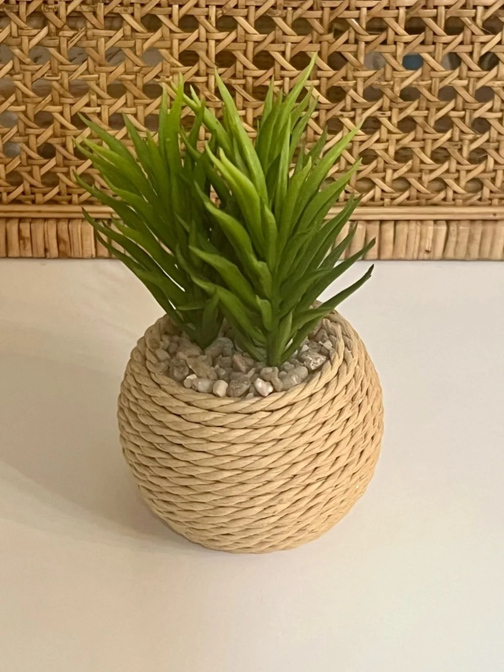 Mini Plant Succulents Home Decor Bundle Set